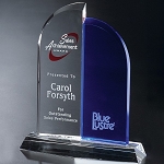 Brigadier Award 9-1/2